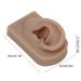 Flexible Reusable Simulated Human Ear Model - Right Ear for Earrings Display & Acupuncture Training (Brown) - Buy Online on GoSupps.com