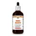 Hawaii Pharm Red Root Extract, Tincture for Heart and Lymphatic Wellness, Promotes Digestive Comfort, Aids Detoxification, Supports Gut Balance and Nutrient Absorption - 4 fl.oz 4 Fl Oz (Pack of 1)