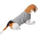 Dog Anti Anxiety Shirt Pet Stress Relief Clothes Pet Calming Wrap Vest Dog Thunder Jacket with Hook Loop and Reflective Strip (S) - Buy Online on GoSupps.com