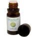 GreenHealth Lime - 1/3 fl oz (10 ml) Glass Bottle with Euro Dropper - 100% Pure Essential Oil - Buy Online on GoSupps.com