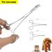 Pet Ear Locking Forceps - Strong Dog Grooming Tweezers for Effective Ear Hair Removal | Animal Care Scissor Tool - Buy Online on GoSupps.com