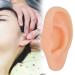 Silicone Left Ear Acupuncture Practice Model - Professional Massage Teaching Tool - Buy Online on GoSupps.com