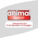 Shop Animal Instincts Forest Friends - Walter Specht Large Plush Toy | International Shipping Available - Buy Online on GoSupps.com