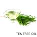 Protective Hand & Body Balm - Orange Lavender Mint & Tea Tree Oil | 2 oz - International Shipping Available - Buy Online on GoSupps.com