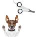 TOSSPER Professional Pet Nail Clipper Scissor Cutter for Dog Cat Claw Bird Guinea Pigs Puppies Rabbits Animal Grooming Stainless Steel Trimmer - Buy Online on GoSupps.com