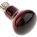 Tenlacum 40/50/60/75/100W Infrared Basking Spot Lamp Single Max Heat Reptile Red Bulb Light (40W) - Buy Online on GoSupps.com