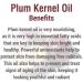 Plum Kernel Oil 100% Natural & Pure - Uncut Carrier Oil for Skin & Hair | Aromatherapy & Therapeutic Grade (50 ML - Buy Online on GoSupps.com