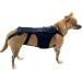 Dog Back Brace - Breathable Pet Back Bracer for IVDD - Pet Back Bracer for IVDD Back Protector Dtt Black Medium - Buy Online on GoSupps.com
