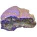 Blue electroplated Crystal druzy Gemstone geode Reiki crystal-1pc Natural Luster - Buy Online on GoSupps.com