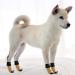 Pupeck Double-Sided Anti-Slip Dog Socks - 2 Pairs with Adjustable Straps for Indoor Use | Summer Paw Protection for Medium Dogs | Traction Control on Hardwood Floors - Khaki - Buy Online on GoSupps.com