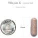Pascoe Vitapas C Liposomal 90 Capsules - Vegan Vitamin C Capsules Vitamin in Easy-to-Swallow Small Size No Sugars Flavours Additives or Preservatives - Buy Online on GoSupps.com