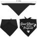 Pregnancy Announcement Dog Bandana Set for Dog Lovers - Gender Reveal Photo Prop and Pet Scarf Decorations - Pack of 2 - Buy Online on GoSupps.com