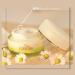 Buy Snail Mucus Face Cream 80% | Anti-Wrinkle & Acne Treatment | Shea Butter & Argan Oil | International Shipping - Buy Online on GoSupps.com