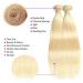 613 Blonde Brazilian Straight Human Hair Bundles with Closure - 18/22/22 + 14 Inch - Remy Hair Extensions - Can Be Dyed - Buy Online on GoSupps.com