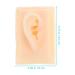Baluue Ear Model Practice Tool - Hearing Amplifiers & Silicone Ear Display Sample for Massage & Earrings - Buy Online on GoSupps.com