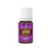 Young Living Lavender Essential Oil - 100% Pure Tranquility in a 5ml Bottle - Calming and Soothing Aromatherapy for All Seasons - Ideal for Unwinding Relaxation and DIY Wellness Recipes Lavender 0.17 Fl Oz (Pack of 1)