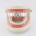 Qiwenr Jewelry Party Teeth Hip Hop Style Tooth Hip Hop Tooth Cap Tooth Silver - Buy Online on GoSupps.com
