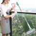 ZABEES Window Glass Cleaning Extendable Retractable Pole Washing Dust Cleaner Brush Dry Wet Scraper Wiper Household Tool High Building 1 Set - Buy Online on GoSupps.com