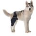 SEWOART Knee Paw Puppy Knee Pads Dog Elbow Protector Pet Injury Supply Balm Hind Leg Care XL 1 - Buy Online on GoSupps.com