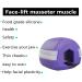 Quesuc 4-Piece Jaw Trainer Ball Set | Define Your Jawline & Reduce Double Chin | Fitness Chewing Trainer in 4 Colors - Buy Online on GoSupps.com