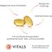 Buy Vitals Organic Evening Primrose Oil - 100 Vegan Softgel Capsules 500mg Cold-Pressed GLA from Nightconz Seeds Chemical-Free & Organic Cultivation - Buy Online on GoSupps.com