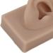 Simulated Right Ear Model for Ear Piercing Training | Realistic Soft Human Ear for Headphone Display (Brown) - International Shipping Available - Buy Online on GoSupps.com