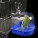 NINGVIHE Bird Bath for Cage Bird Bath Tub Bird Cage Accessories Parrot Bathing Tub for Small Birds Canary Budgies Parrots (A Style) - Buy Online on GoSupps.com
