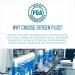 Oxygen Plus  O+ Mini 12 Pack | Portable Oxygen Can | 99.5% Pure O2 | Natural Wellness Supplement to Boost Energy & Recovery | 5+ Uses Per 1.55 Liter Cans 52.41 Fl Oz (Pack of 12) - Buy Online on GoSupps.com