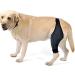 Sosoport Dog Leg Braces for Foreleg Canine Rear Hock Knee for Dogs Knee Pads Puppy Kit M As Shown - Buy Online on GoSupps.com