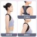 Buy Pine Column Side Bend Straight Back Orthodevice - Invisible Posture Correction for Hunchback (Large - Buy Online on GoSupps.com