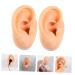 Healeved 4 Pcs Silicone Ear Model Ornament Earrings - Teaching Supplies Anatomy Model - Fake Ear Piercing & Massage Tool - Buy Online on GoSupps.com