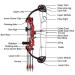 PANDARUS Compound Bow Archery Set for Youth and Beginners - 19-28 Draw Length, 15-29 lbs Draw Weight, 260 fps - Right Handed - Includes Hunting Equipment - Buy Online on GoSupps.com