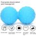 Verdant Touch Yoga Gym Ball - Double Massage Ball for Muscle Relaxation & Deep Tissue Massage | Blue Fitness Ball for Legs & Shoulders - Buy Online on GoSupps.com