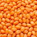 Jelly Belly Pumpkin Spice Jelly Beans Halloween Christmas Full Size 1-Pack 100g Candy Bags containing Pumpkin Pie Spice Kosher Candy Gluten Free Stocking Stuffers for Teens Holidays Bonbon Pumpkin Pie pack of 1 - Buy Online on GoSupps.com