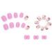 Colorful Daisy Flower Short Square Press-On Nails - 24Pcs Full Cover Acrylic French Tips for Women and Girls - Buy Online on GoSupps.com