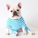 Bt Bear Fat Dog Clothing | Classic Striped Pajamas for Pugs French Bulldogs & Cats | Soft Cotton Overalls for Small & Medium Dogs (Blue L) - Buy Online on GoSupps.com