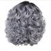 BigBigMe Short Curly Hair Wigs Grey Hair Lace Wigs Gray Wavy Wigs for Women  Hair Replacement Wigs European and American Women's Styling Cool Wig Natural Looking