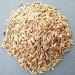 Jay Brand Paddy Seeds | 500G | Indian Origin (Pack of 2) - Buy Online on GoSupps.com