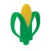 Nuby 2 Handle Silicone Fruit and Veggie Teether - 3+ Months | Corn Yellow - Buy Online on GoSupps.com