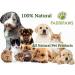 100% Natural Flea Shampoo for Dogs - Natural Flea Away Shampoo - Flea Shampoo for dogs to kill Fleas and Eggs - Safe Chemical Free - Natural Dog Flea Shampoo - Buy Online on GoSupps.com