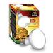 Terra Exotica D3 UV Heat Spot 125 watts - in 80 100 and 125 watts available - UVB UVB UVA heat lamp for reptiles sunlight simulated promotion of D3 synthesis (125 watts)