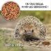 Dried Meal Worms 2 kg Fits 12500 ml Treats for Birds Fish Turtles Hedgehogs Rodents and Reptiles - Buy Online on GoSupps.com