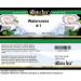 Bianca Rosa Watercress 4:1 Cream (2 oz ZIN: 521603) - 3 Pack - Buy Online on GoSupps.com