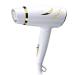 Hair Dryer- Professional Hair Dryer Performance Ac Motor Ions Hair Blow Dryer Concentrator and Diffuser