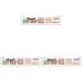 catrice color recipe anti eyebrow multi correctrice 5 teintes 010 (pack of 3) 6 g (pack of 3) Mixed