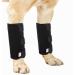 Pair of Dog Front Leg Brace - Canine Compression Wrap Protects Wounds Heal Support Due to Arthritis to Prevent Injuries(1 Pair,SM)