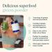 Ora Organic Prebiotic & Probiotic Powder & Greens Powder Bundle: 20 Billion Probiotic Apple & Raspberry Flavor 30 Servings & 20+ Superfood Greens Blend - Citrus Flavor 30 Servings - Buy Online on GoSupps.com