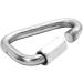 Buy PETZL Delta Carabiner 8 mm | Durable & Lightweight Climbing Gear - International Shipping Available - Buy Online on GoSupps.com