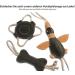 Schn ffelfreunde Dog Toy Duck Donna | Cuddly Leather Toy with Rope for Dogs - International Shipping Available - Buy Online on GoSupps.com