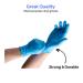 INTCO Eco Vinyl Medical Examination Gloves - Latex-Free & Powder-Free - Blue - Large - Buy Online on GoSupps.com